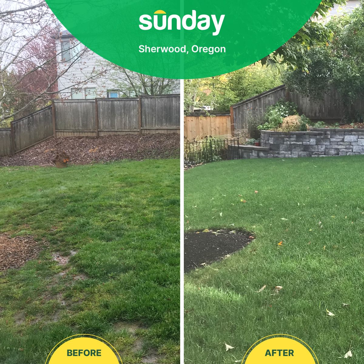 6 Reasons You Need To Try Sunday s Lawn Care Program This Spring